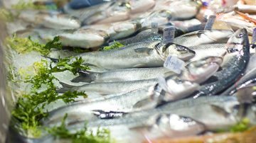 Lợi ích của cá