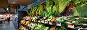 PremiumColor: Hệ thống chiếu sáng tốt nhất dành cho Trái cây và rau củ