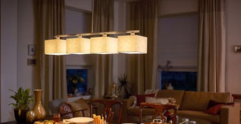 Đáp ứng nhu cầu chiếu sáng đa dạng trong nhà và ngoài trời, Philips mang đến đầy đủ dòng sản phẩm cao cấp.