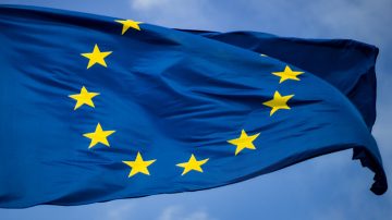 Một cây bên cạnh tòa nhà bằng kính